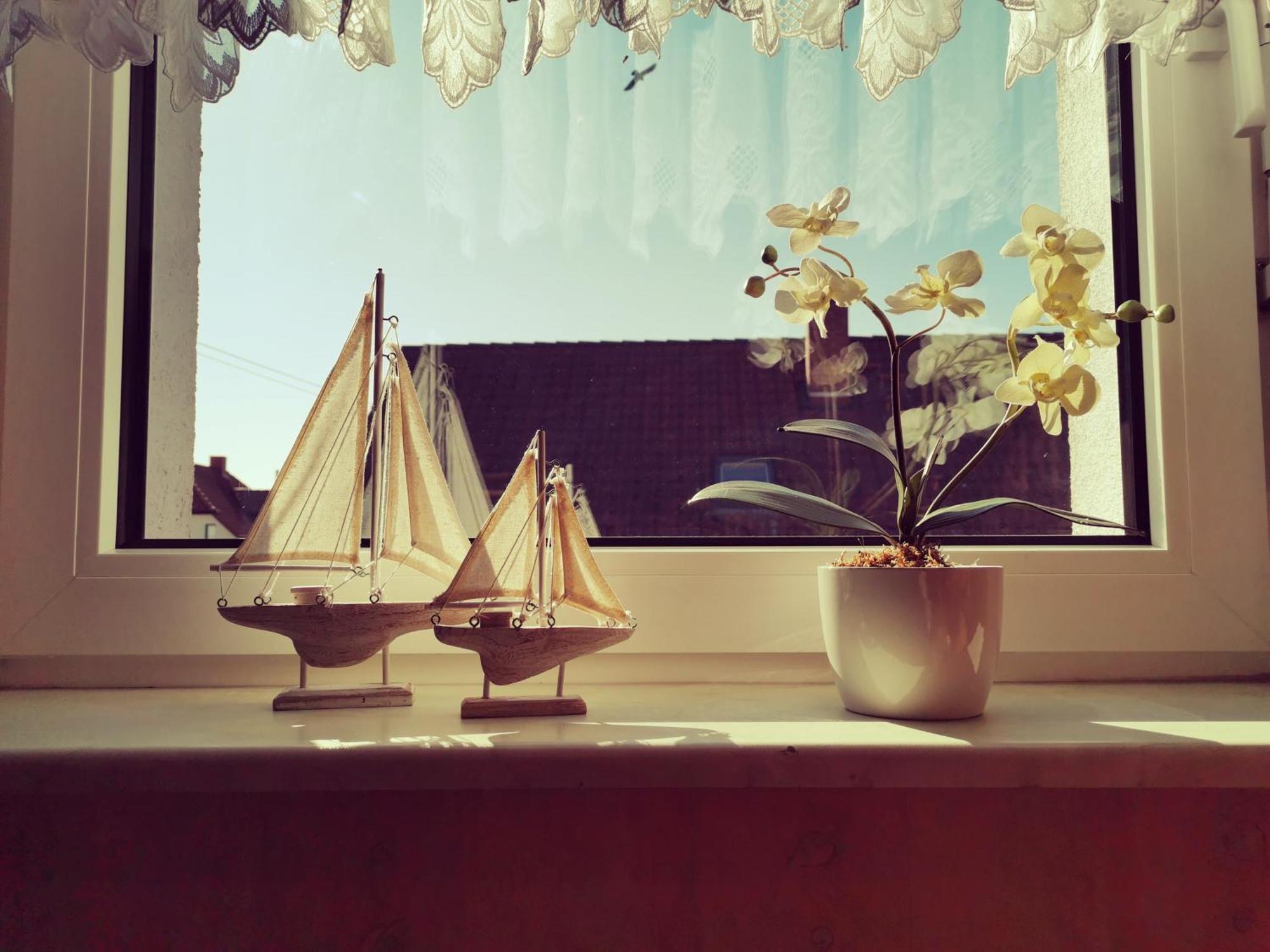 Ferienwohnung Lisa Gingst Ngoại thất bức ảnh